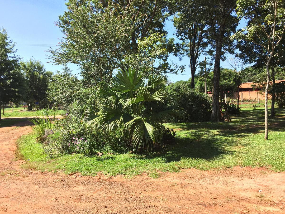 Iguazu Apart Hostel Puerto Iguazu Ngoại thất bức ảnh